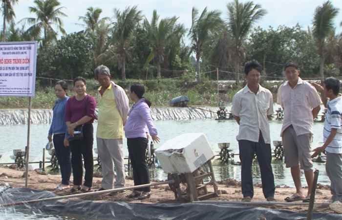 Khuyến Ngư - Mô hình nuôi cá gắn với liên kết tiêu thụ (16-06-2020)